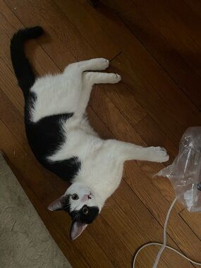 Meet your Posher, Nancy